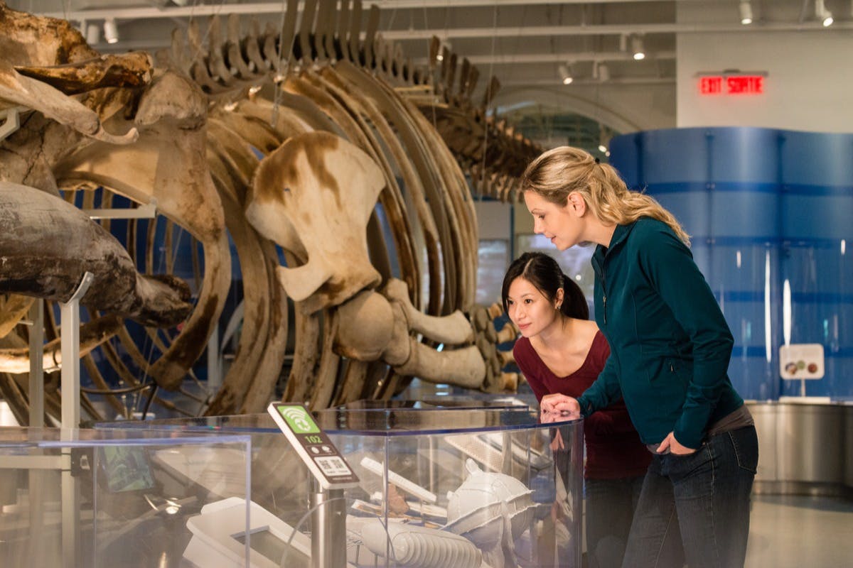 캐나다 자연 박물관