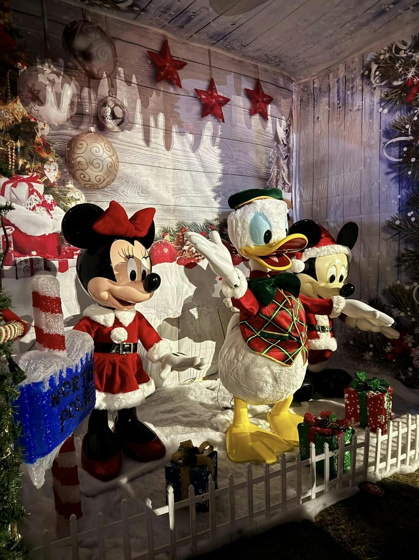 Brooklyn: Dyker Heights Guided Christmas Tour 5