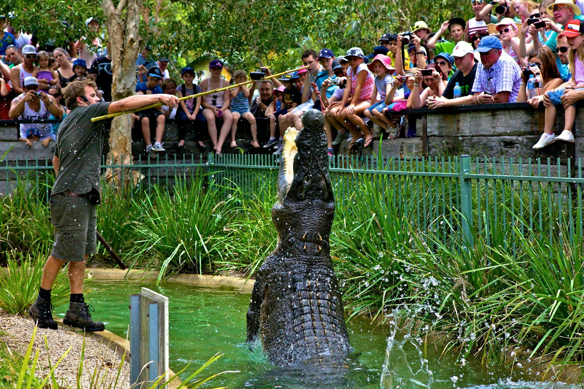Image of crocodile jumping at the park with a crowd