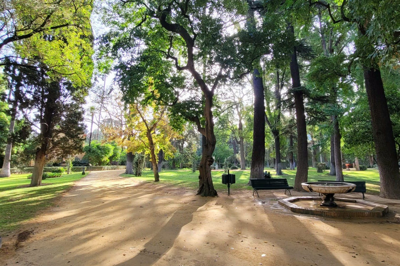 Royal Alcázar of Seville: Guided Tour 4