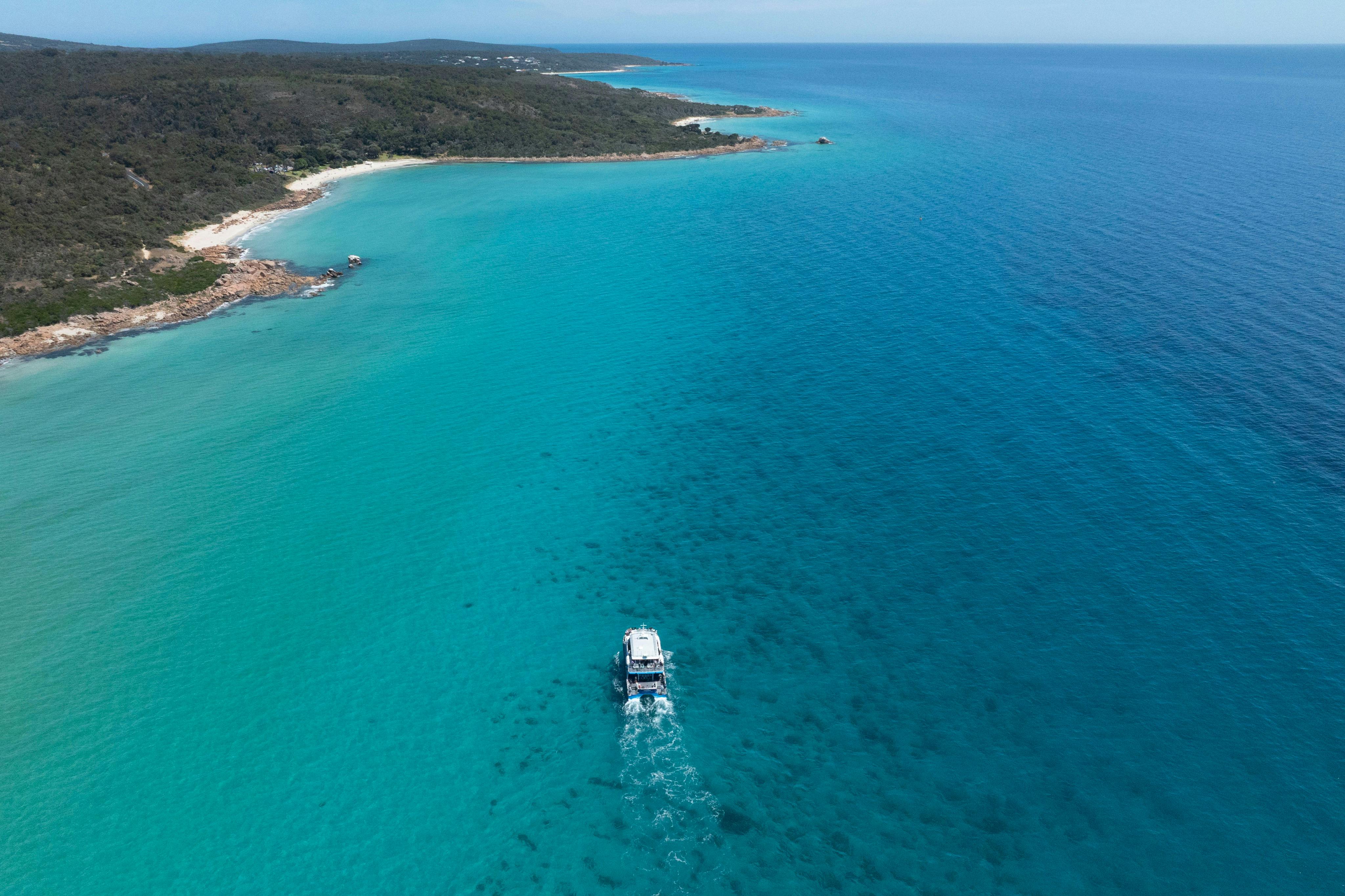 Dunsborough: Excursão para observação de baleias - Photo 2