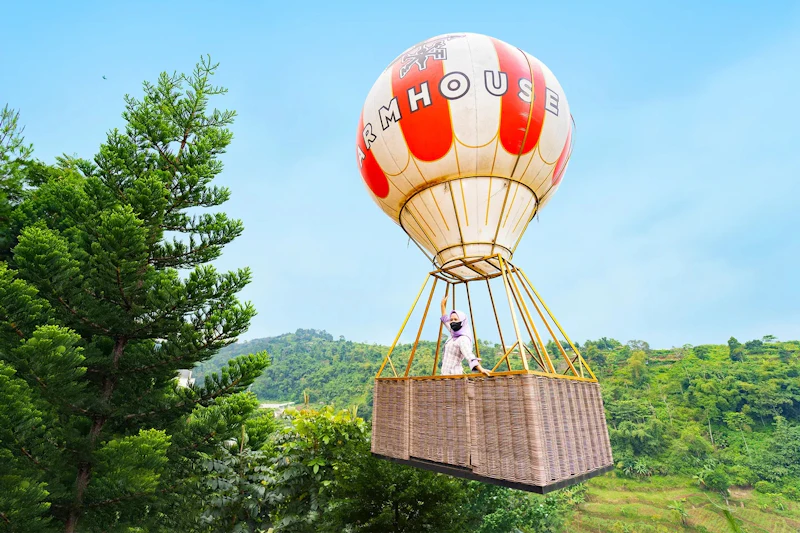 A person in a wicker basket attached to a striped hot air balloon with the text FARMHOUSE, floating above greenery.