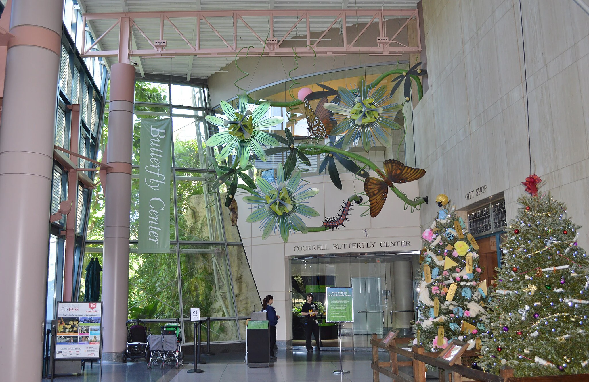 Centro de Mariposas Cockrell, Houston | Reserva entradas, tours guiados ...