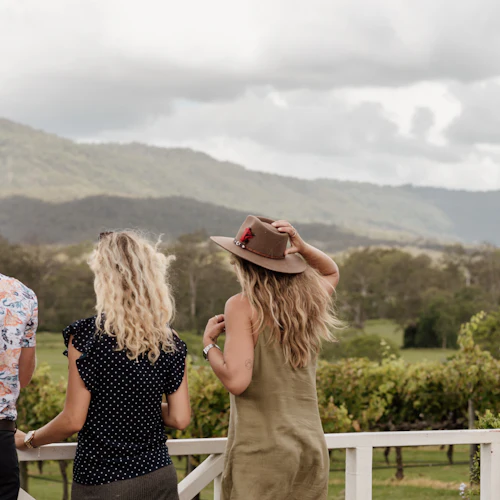 Montanha Tamborine: Excursão guiada de ônibus hop-on hop-off saindo de Brisbane + degustação de vinhos - Photo 7