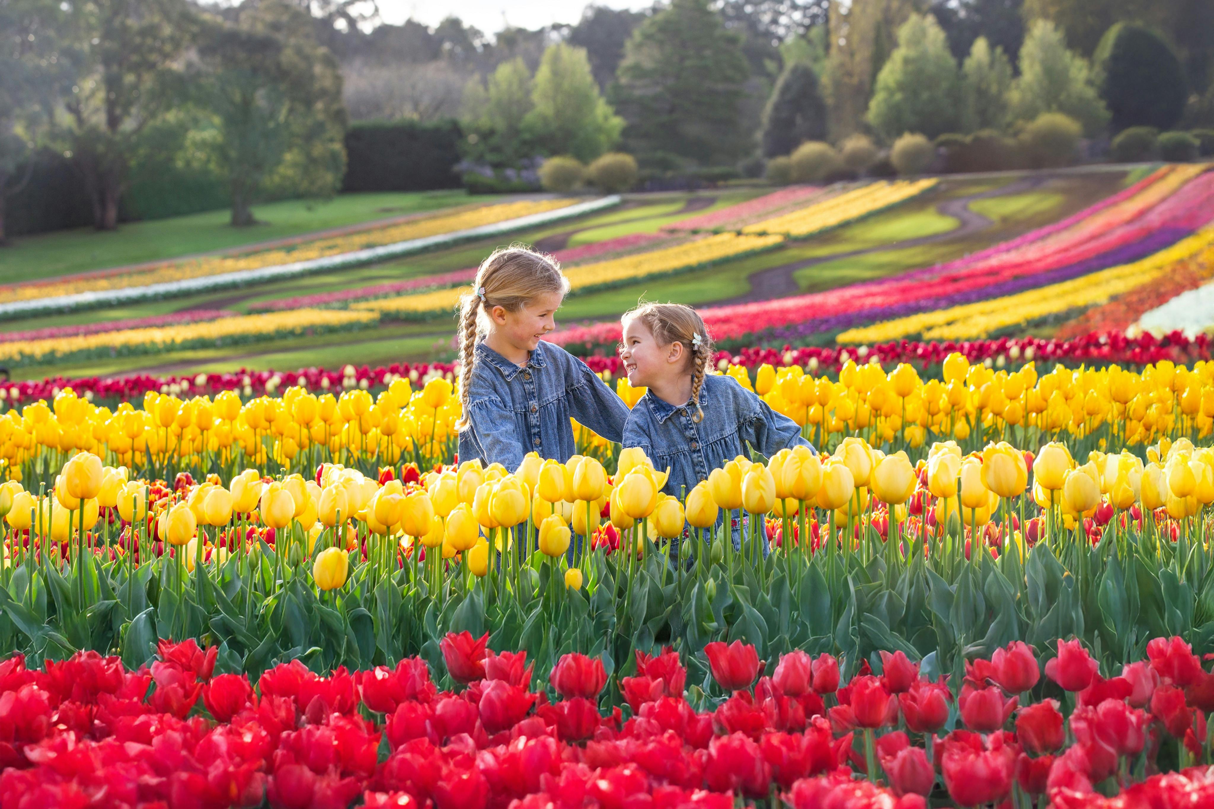 Yarra Valley Floral Day Pass 3