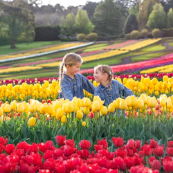 Yarra Valley Floral Day Pass 3