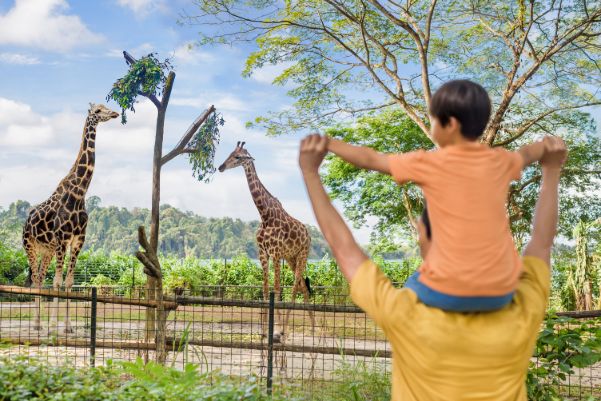 シンガポール動物園 + シー・アクアリウム・シンガポール