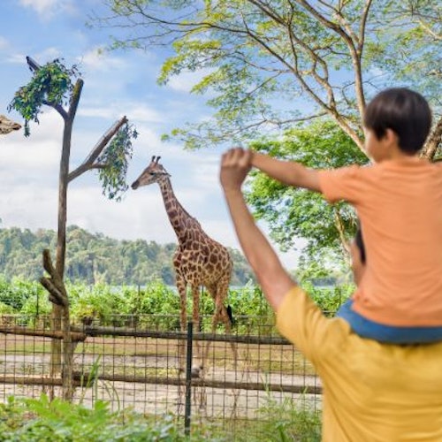 Zoo de Singapur