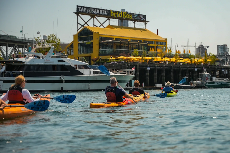 Kayak and Coffee Tour