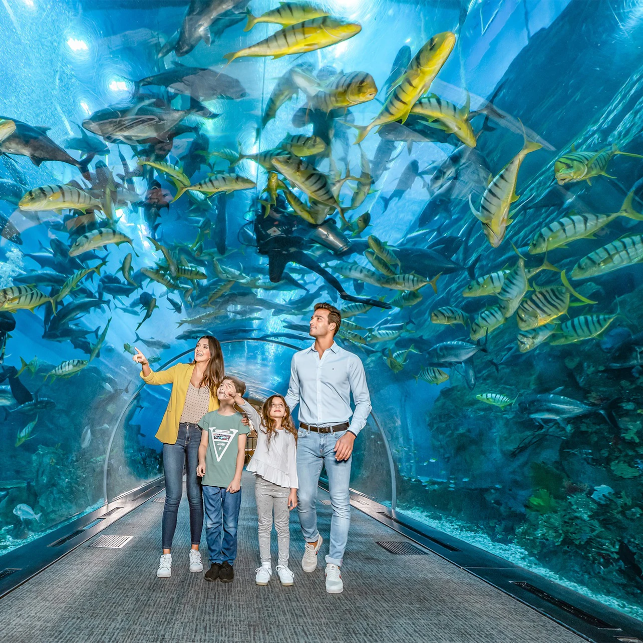 Dubai Aquarium & Underwater Zoo: Entry Ticket + Ray Encounter 3
