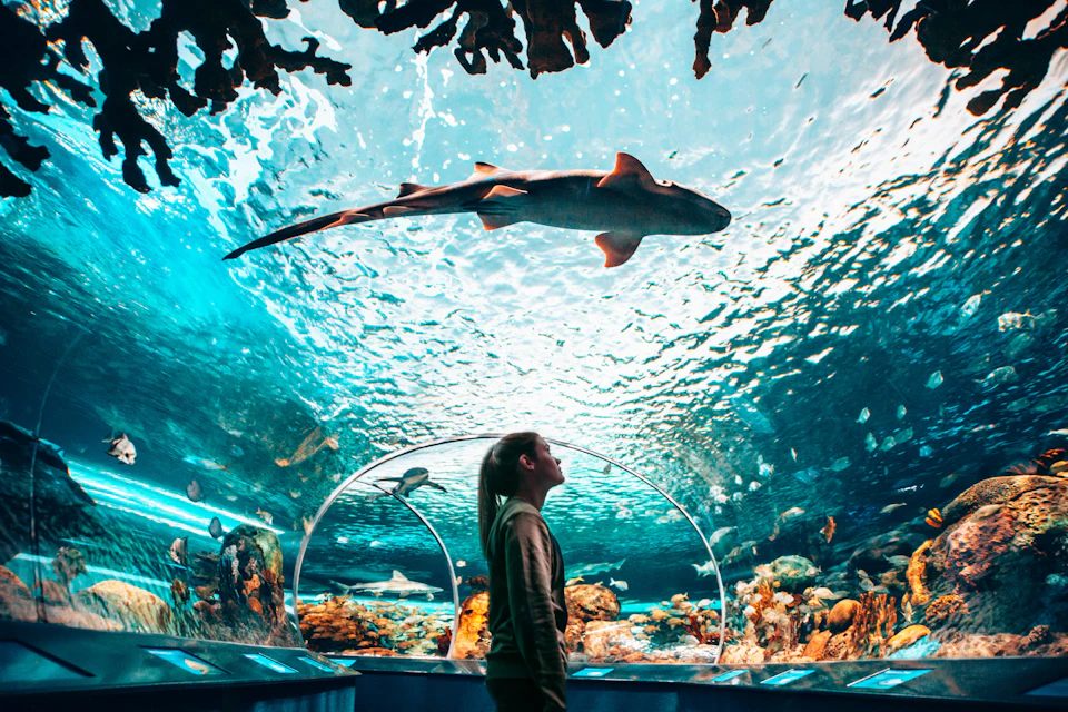 Ripley's Aquarium of Canada