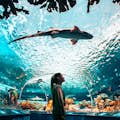 Ripley's Aquarium in Kanada