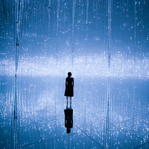 teamLab Planets TOKYO: bilhete de entrada - Photo 8