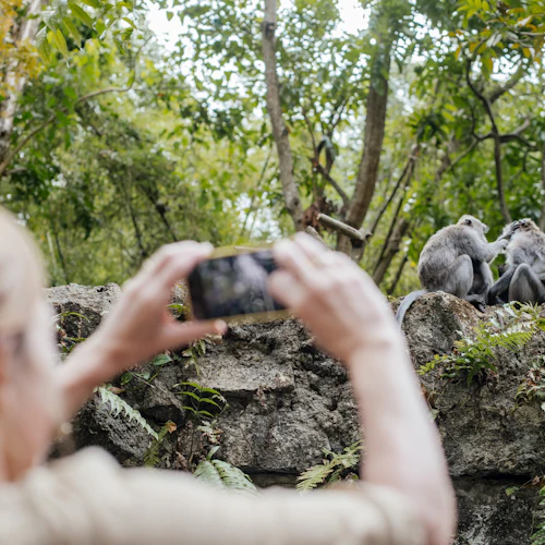 Tanah Lot Temple & Ubud: Full-Day Guided Tour + Roundtrip Transfer - Photo 10