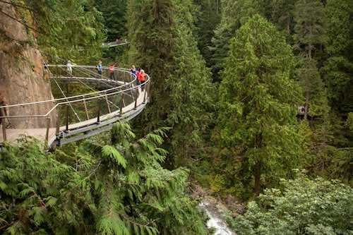 Vancouver: Tour with Capilano Suspension Bridge and Lunch