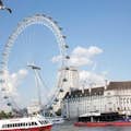 Harry Potter Walking Tour, Tower of London and River Cruise Tickets