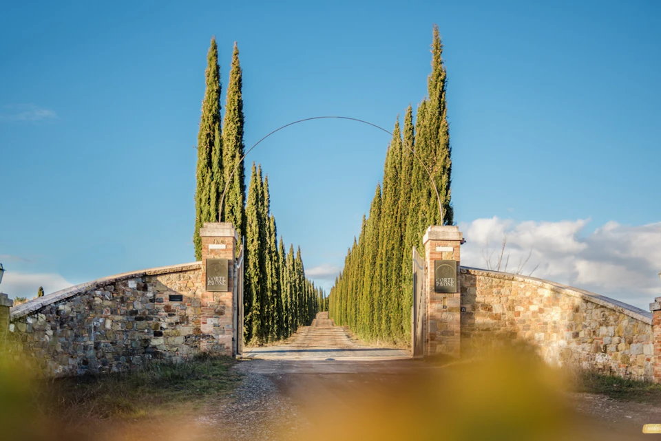 Vineyard Entrance