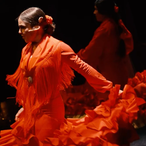 Barcelona City Hall Theater: Flamenco Show - Photo 5