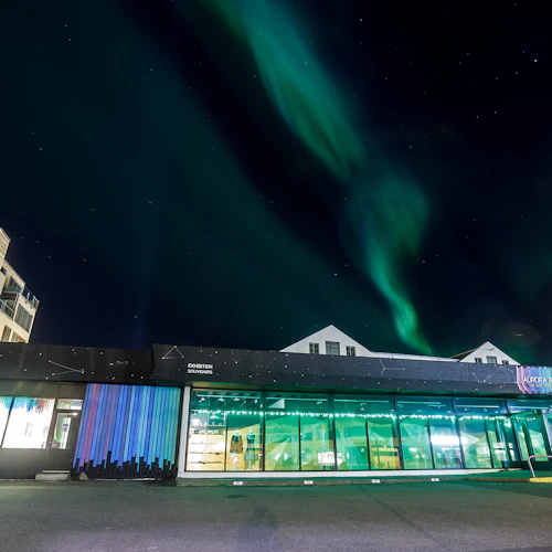 Aurora Reykjavik Northern Lights Center: Entry Ticket