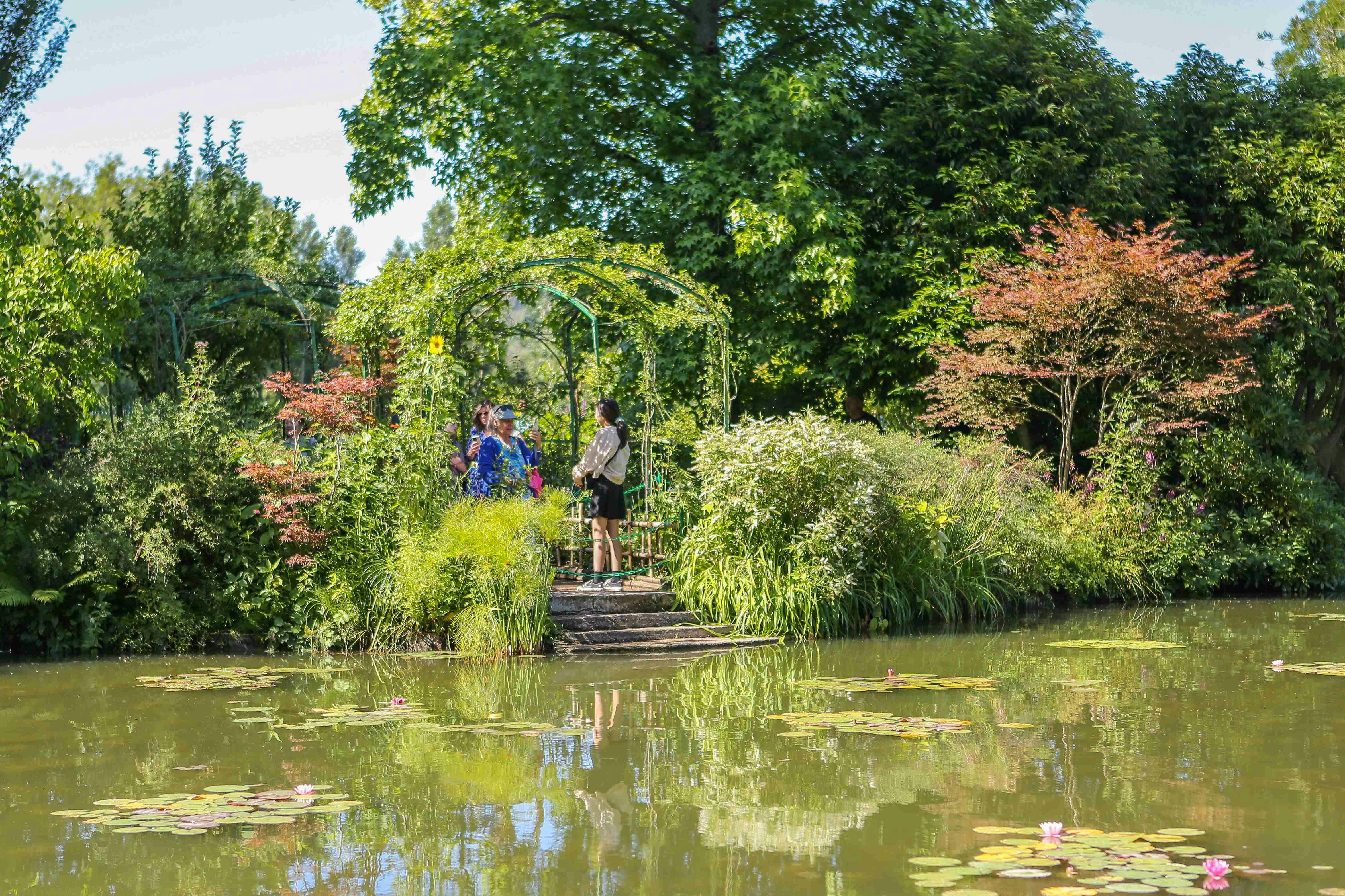 Δύο άνθρωποι στέκονται σε μια μικρή ξύλινη γέφυρα πάνω από μια λιμνούλα που περιβάλλεται από πυκνό πράσινο και ανθισμένα φυτά.