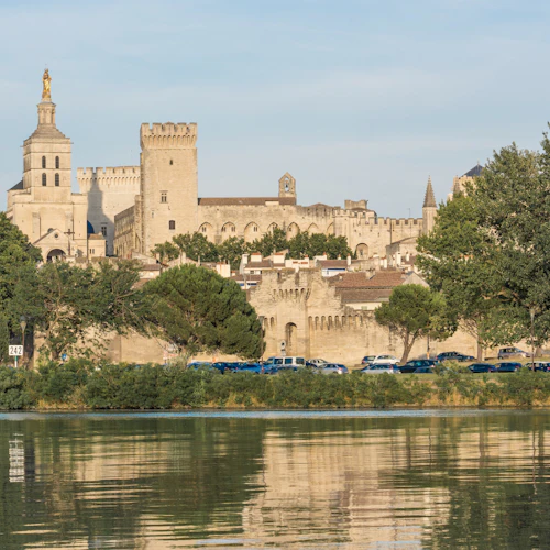 Provence: Guided Day Tour from Avignon + Pont du Gard Entry