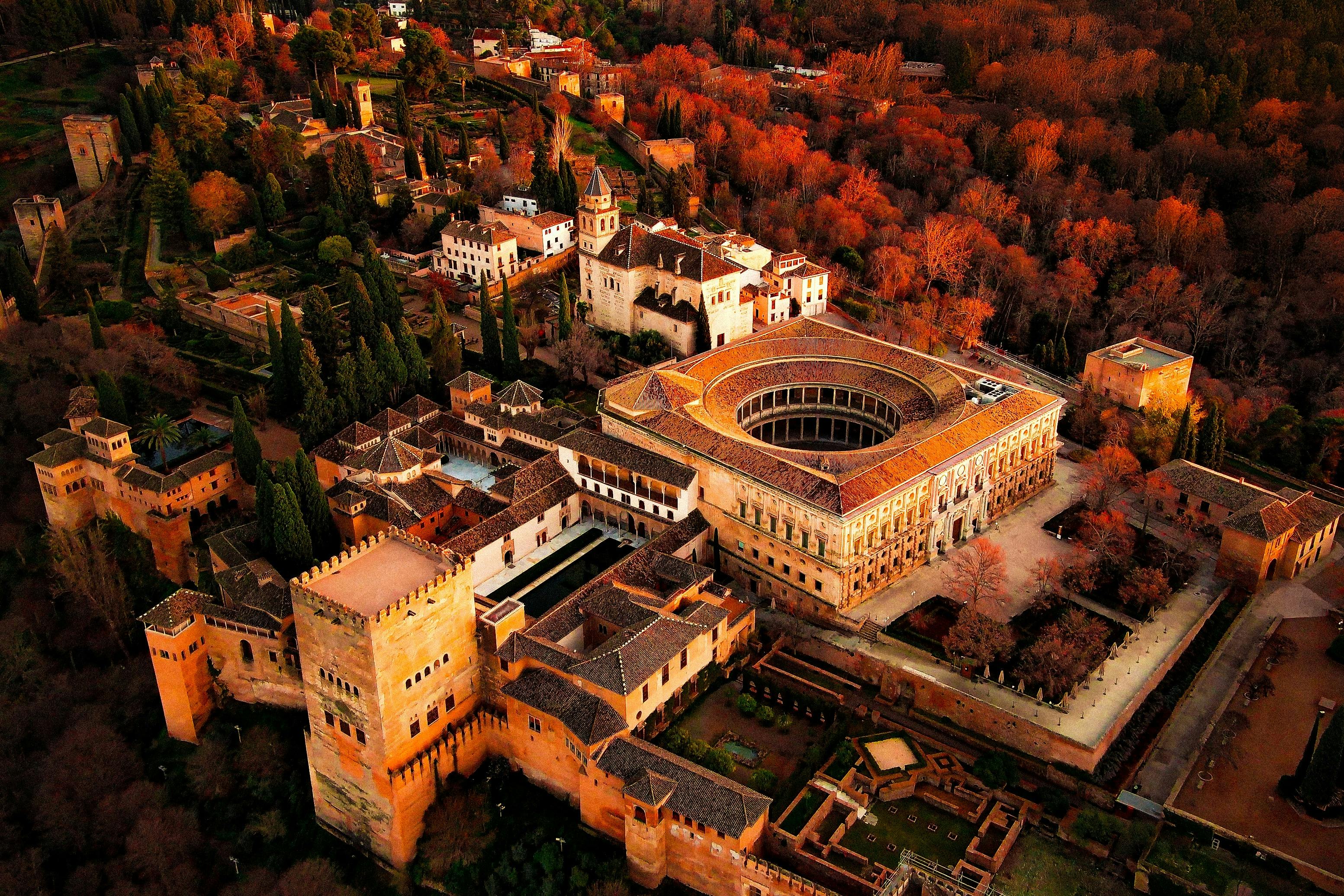 Alhambra e Palazzi nazarì: Tour guidato + Biglietto d'ingresso prioritario