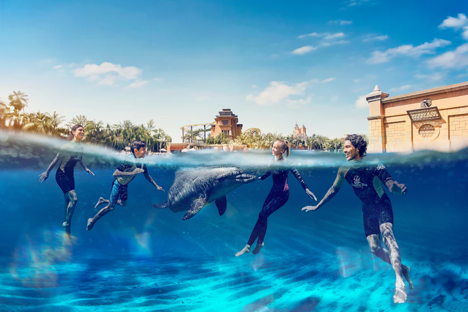 Aquaventure Waterpark - Atlas Village: Dolphin Swim