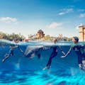 Park wodny Aquaventure - Atlas Village: Pływanie z delfinami