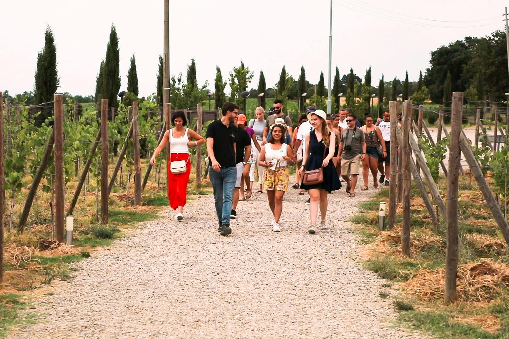 Oběd s ochutnávkou vín