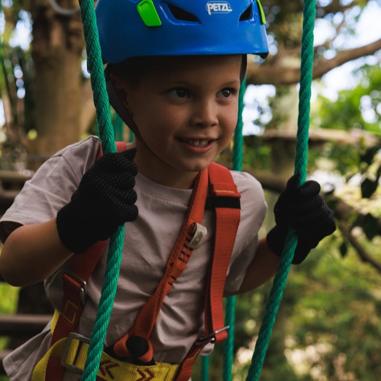 Treetops Adventure Central Coast: Junior Ropes Course in Wyong Creek β Tiqets