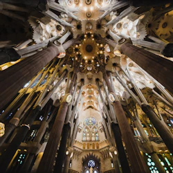 Gaudí Tour: Sagrada Familia, Park Güell & Casa Batlló Guided Tour 5