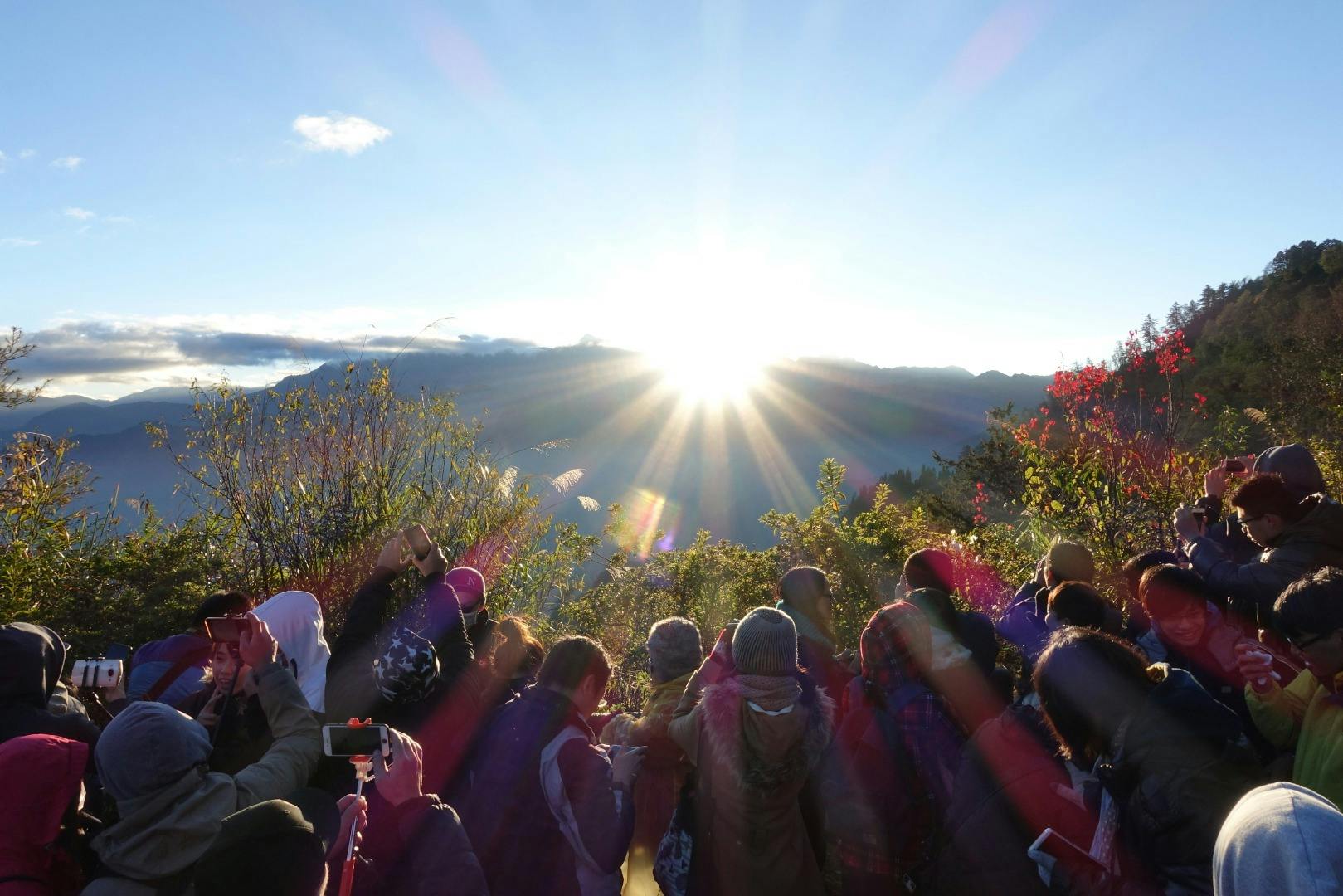 Alishan National Forest Recreation Area: Entry Ticket + Shuttle Alishan Round-Trip