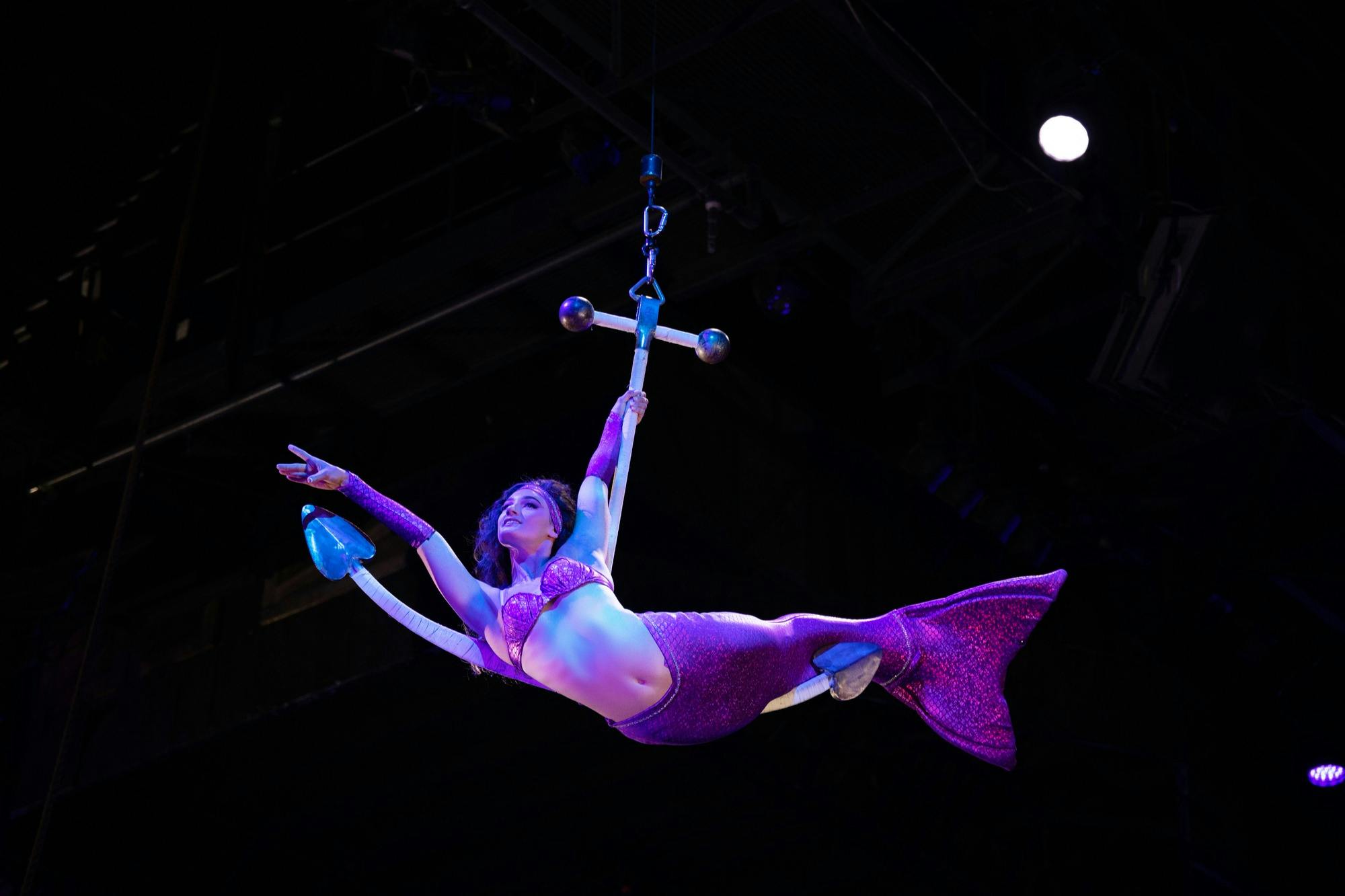 Pirates Voyage Pigeon Forge: Dinner & Show - Photo 6