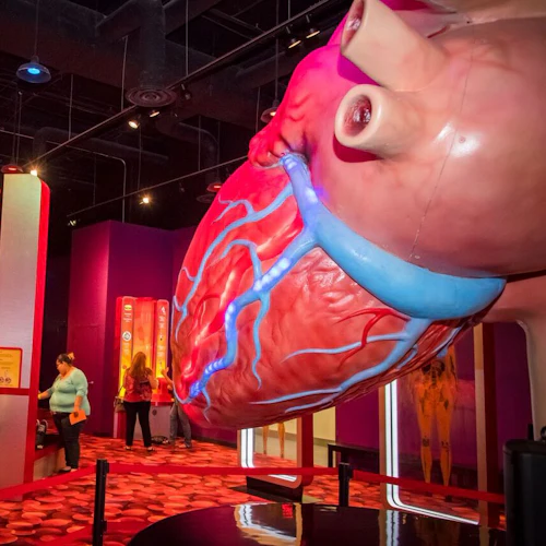 Houston Museum Pass: Entrada para 12 atrações + descontos - Photo 3