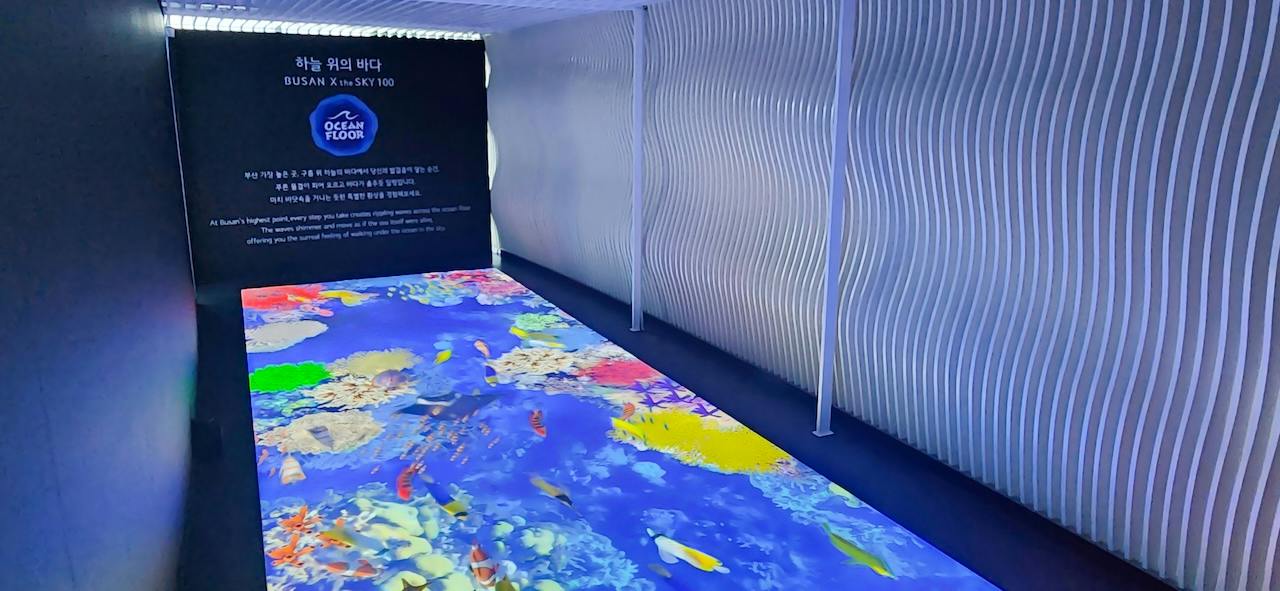 An interactive exhibit with a digital floor display showing colorful marine life and coral reefs under a wavy wall design.