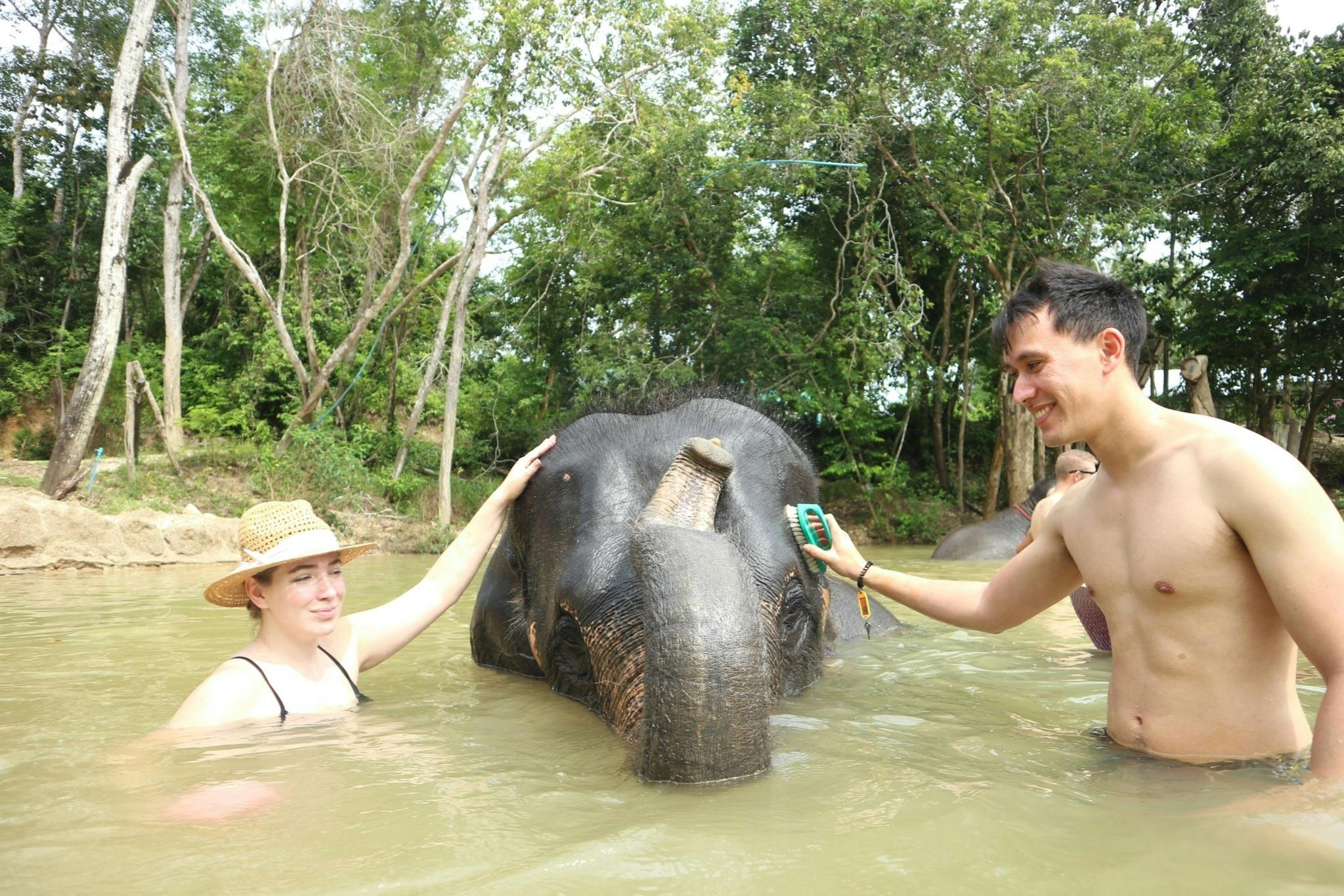나무로 둘러싸인 코끼리를 목욕시키는 두 사람. 한 명은 코끼리를 털고 다른 한 명은 코끼리를 쓰다듬습니다.