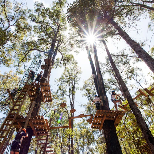 Treetop Adventure Dwellingup: Junior Ropes Course