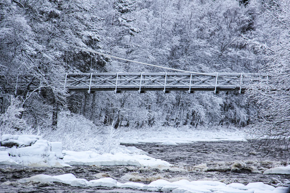 Vikakongas Nature