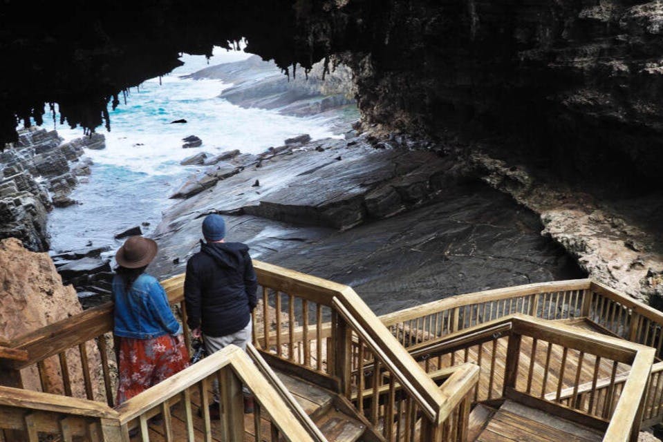 カンガルー島体験終日ツアー