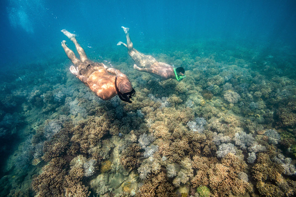 Red Cat Adventures - Snorkellers