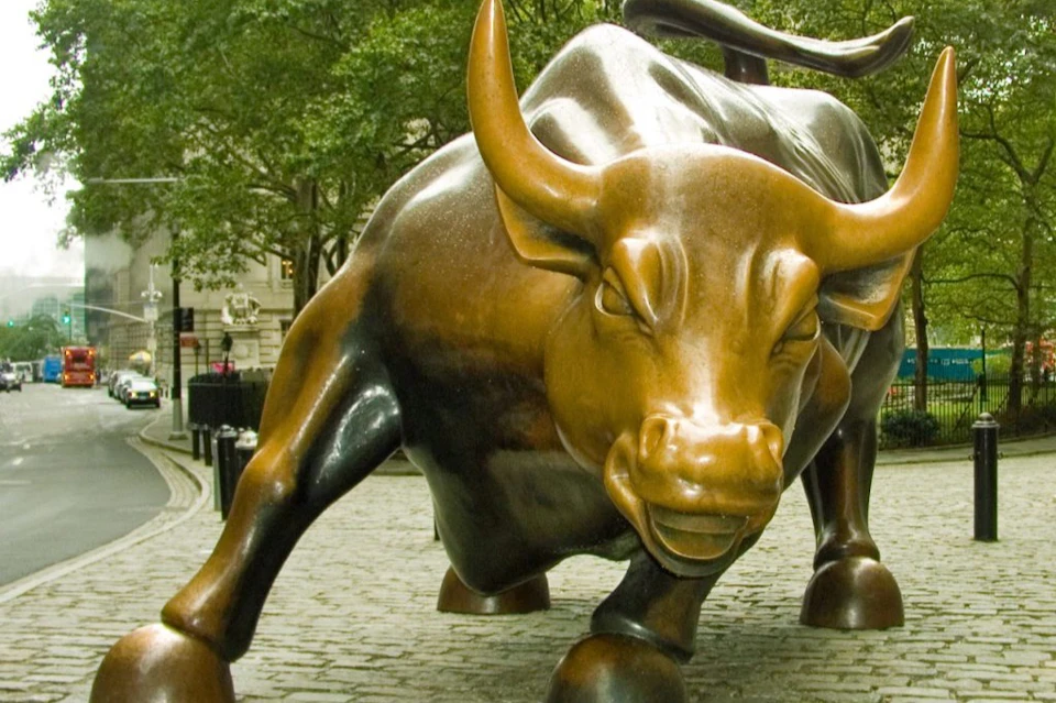 Charging Bull