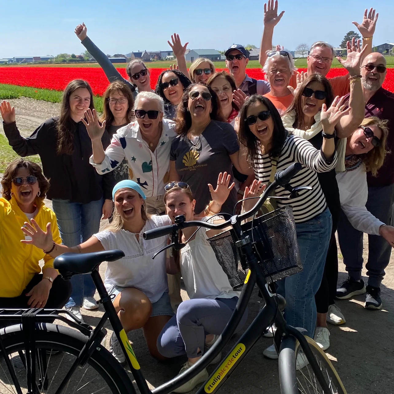 Amsterdam : Visite guidée à vélo des champs de tulipes