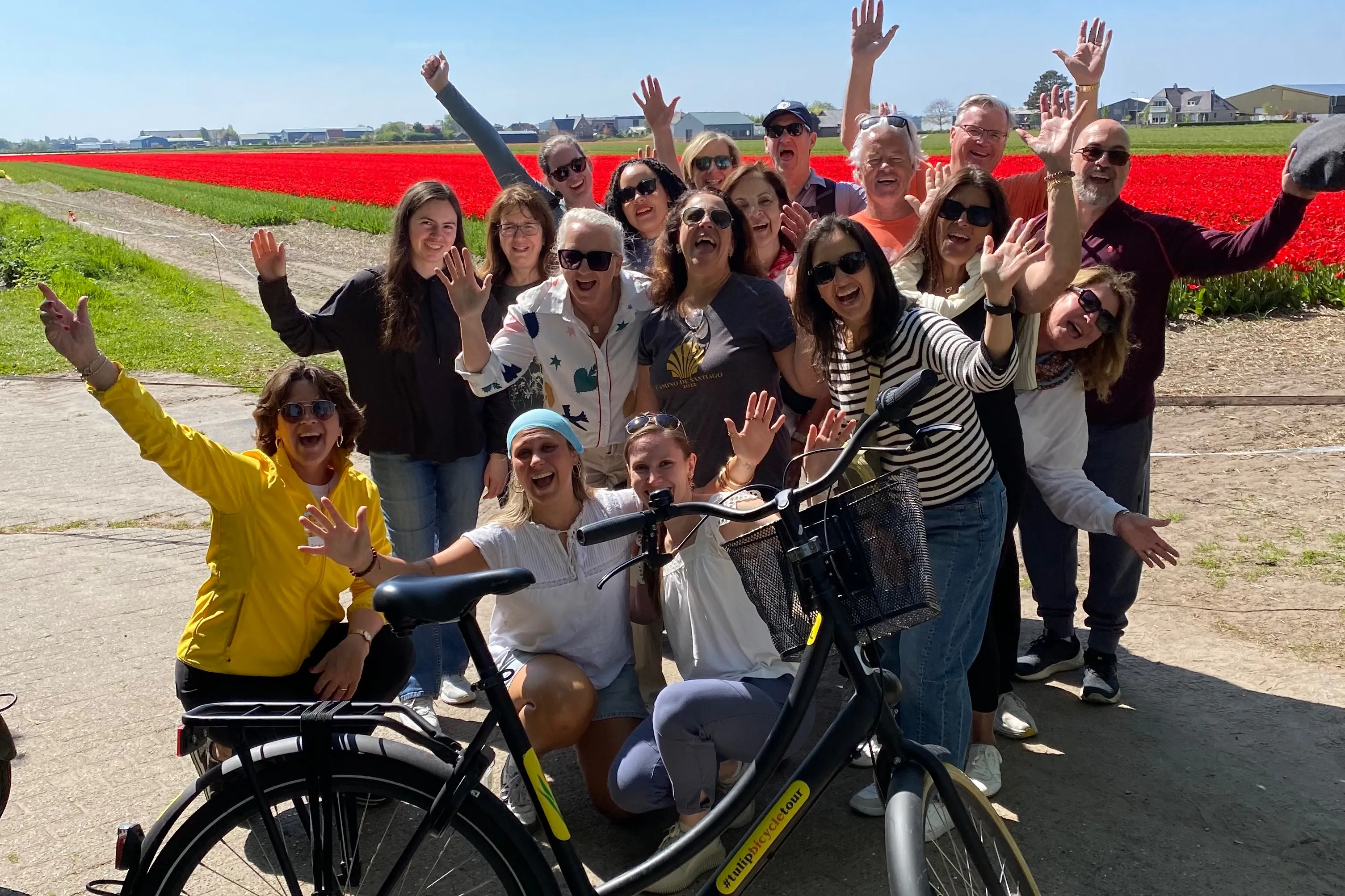 Amsterdam: Guided Tulip Fields Bike Tour