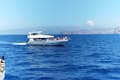 photo boat dolphins Palma