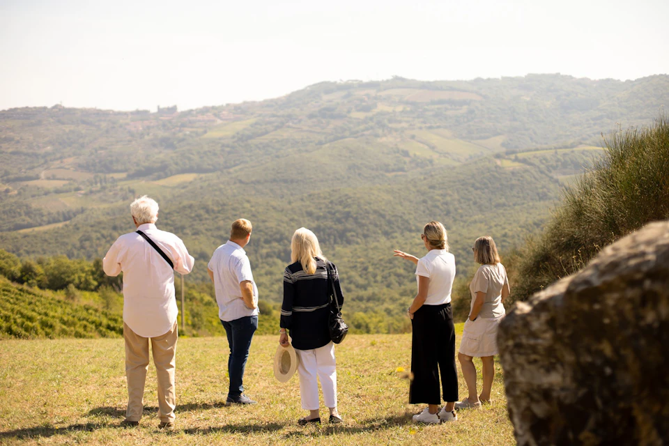 wine tour winery montalcino