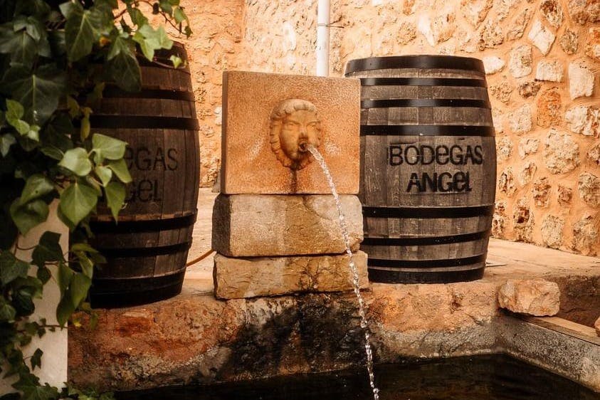 Maiorca: Tour guidato delle cantine + trasferimento + degustazione di vini — 5