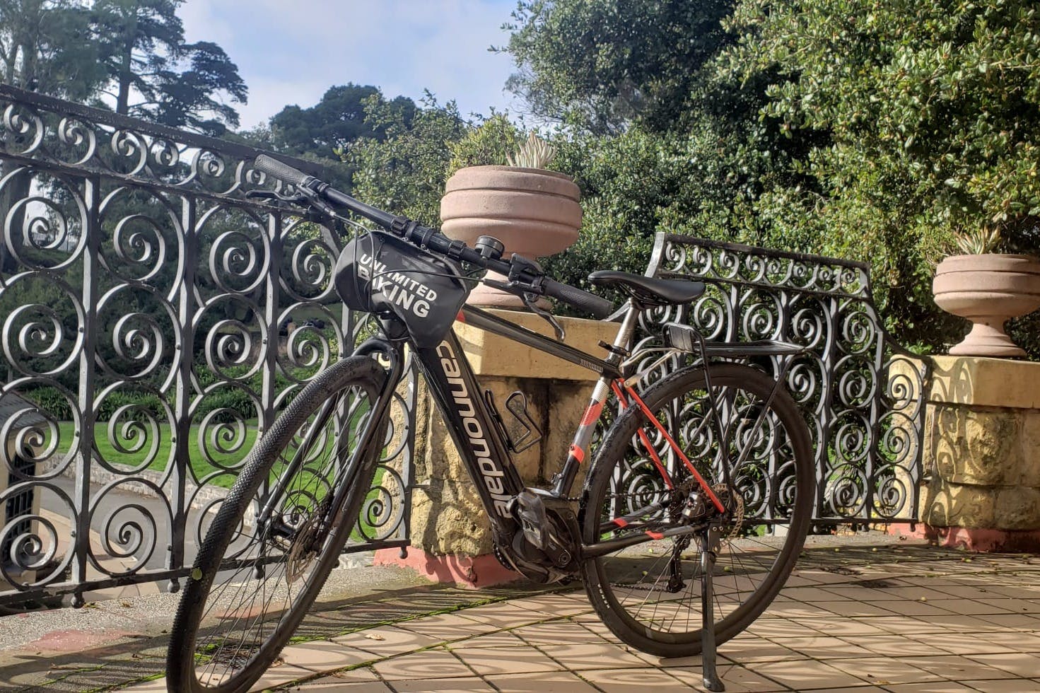 En Cannondale-cykel står parkeret ved siden af et dekorativt jerngreb med frodigt grønt og en stor potteplante i baggrunden.