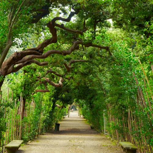 Palazzo Pitti e Jardins de Boboli: bilhete de entrada + tour guiado - Photo 2
