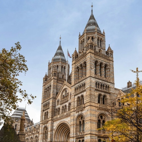 Tour Image
