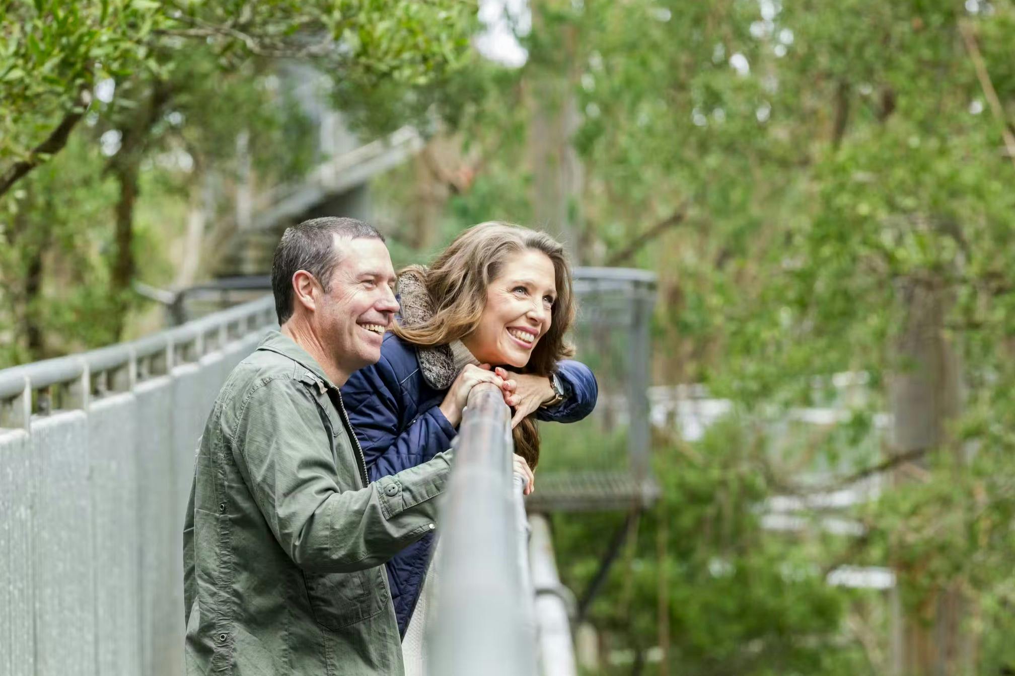 Otway Fly Treetop Adventures: Treetop Walk in Weeaproinah – Tiqets